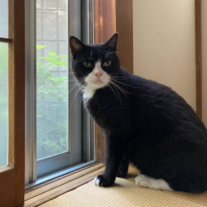 D13040db df19 4d26 bbb7 3ab0f35097bf 1633224044996