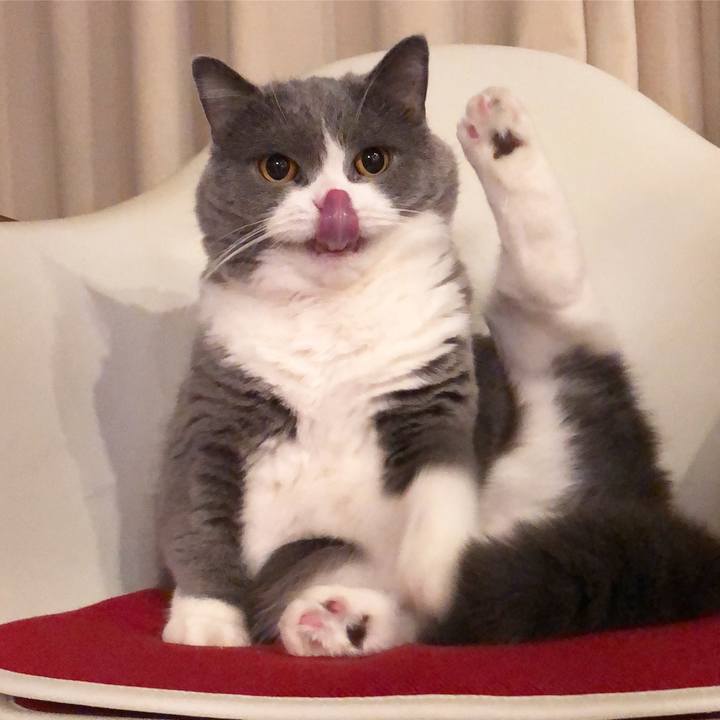 D1305028 c372 4a92 ab4a 5d3ddd45d0f8 1512119950594