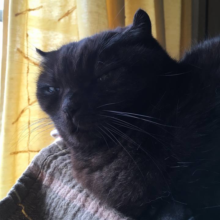 D1305134 91fb 4aa9 9c29 cadec662f907 1548521563642