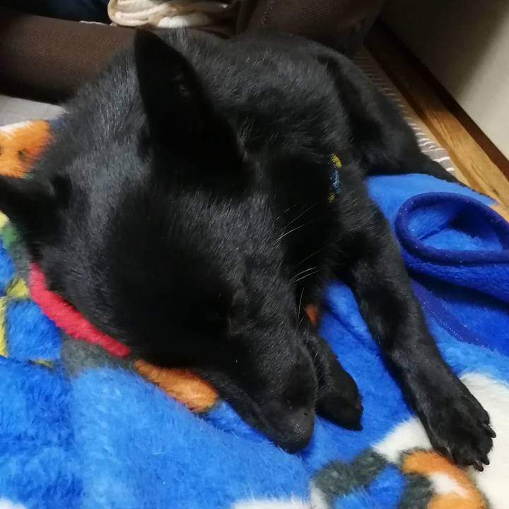 D13071d7 4f6d 4f36 b2a6 f4aef619a98e 1585392932322