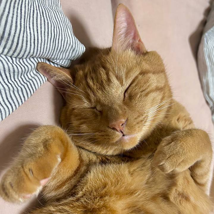 D13077cb 67a4 46b3 8970 ac500922e55e 1760447700475