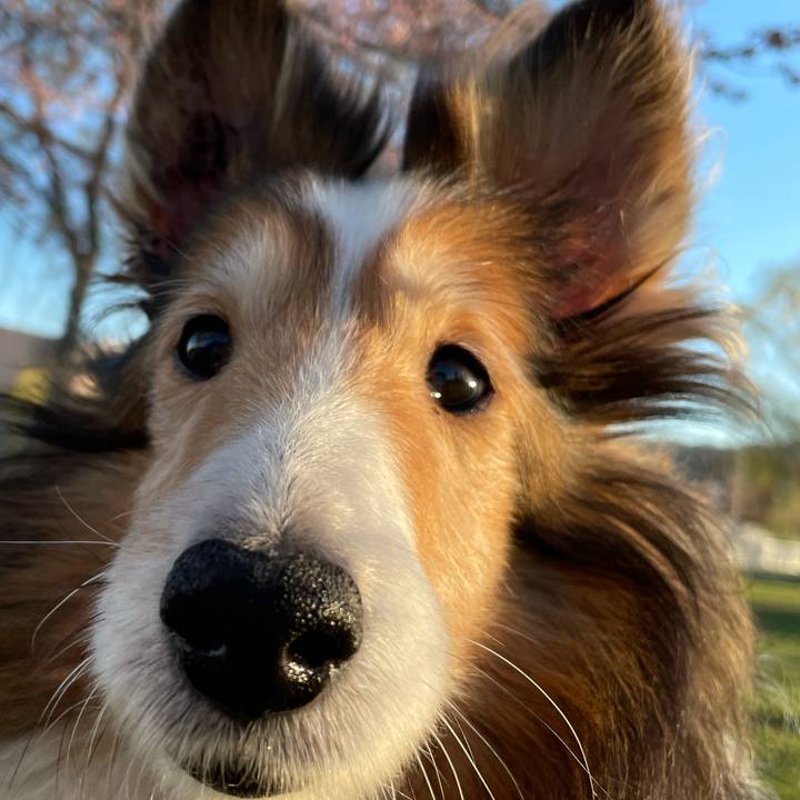 D1307e17 6011 497e abd7 1b478f386c3c 1619163898793