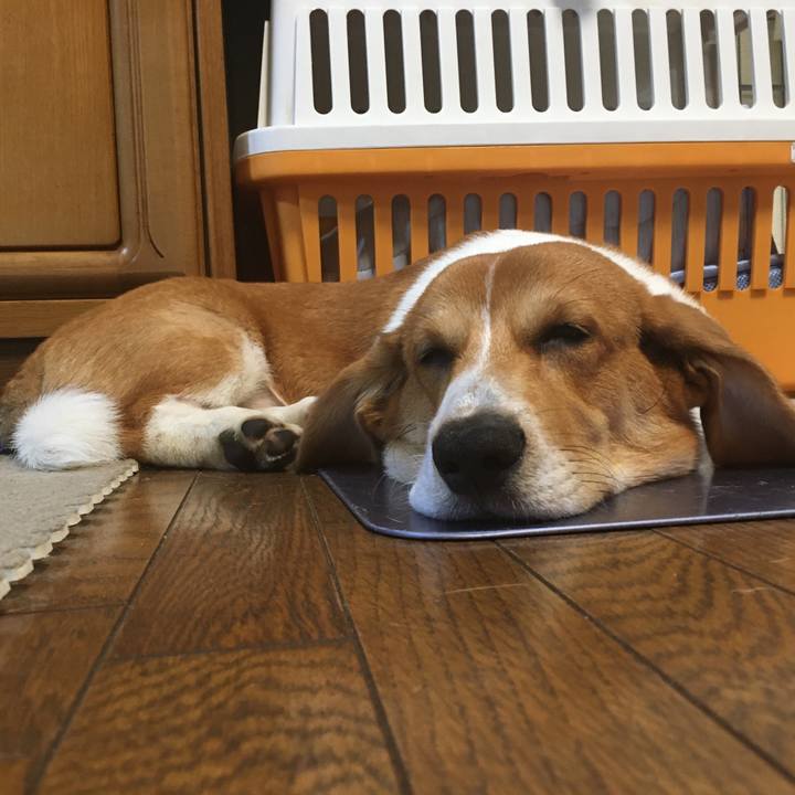 D1308507 dc1e 4c6b b5e6 549d59a298ba 1599049274259