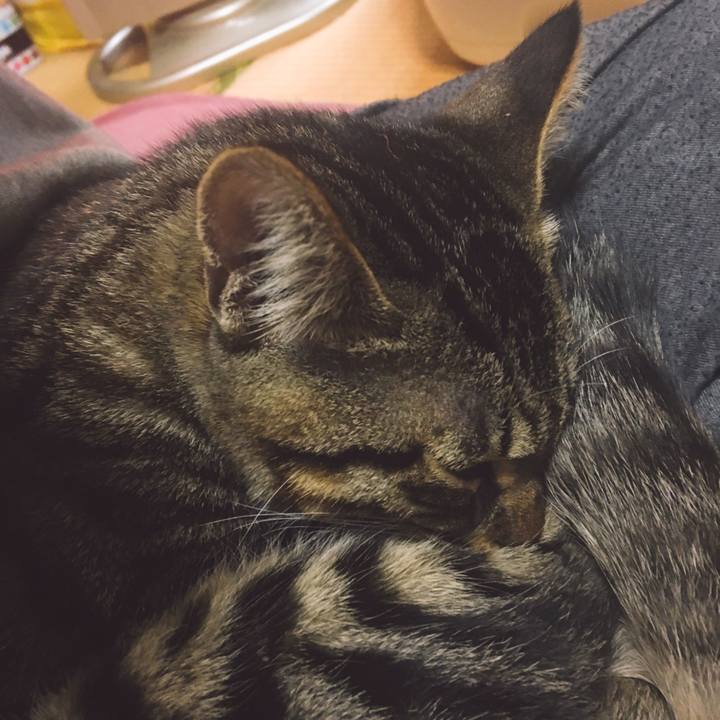 D1308df4 edab 42e0 9151 64888aaa9521 1542582141682