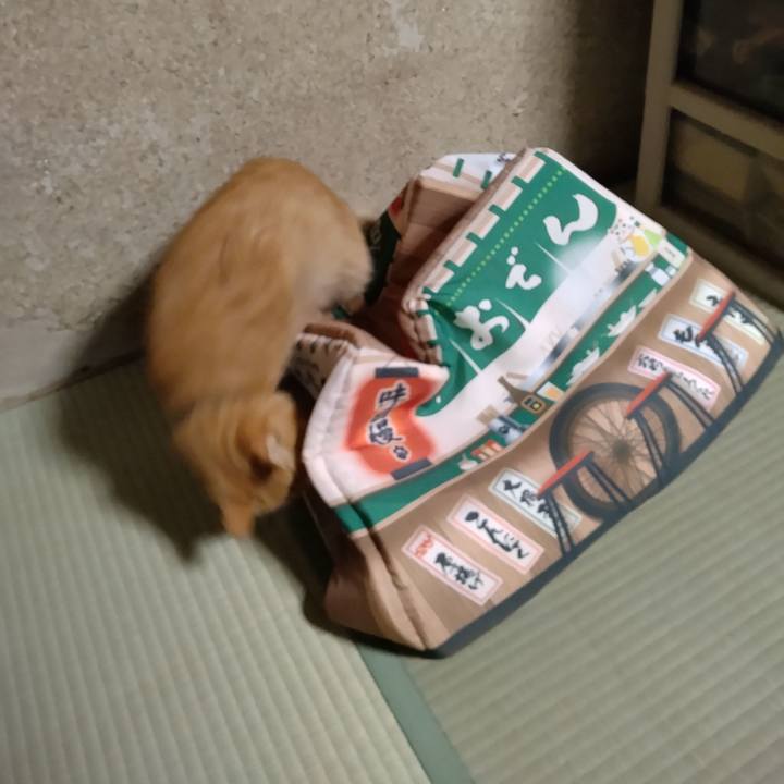 D130d71e 7f7b 4592 86cb b09e2da6a886 1667380212505