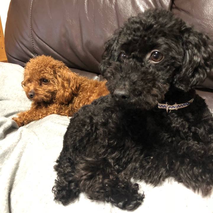 D130e557 fded 4cb8 8aa4 f16987b4252d 1522243527730