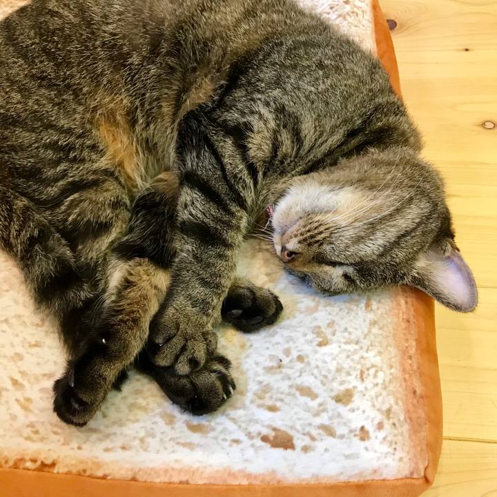 D1310e47 129c 4781 a122 6d87edc9eedd 1531227962215