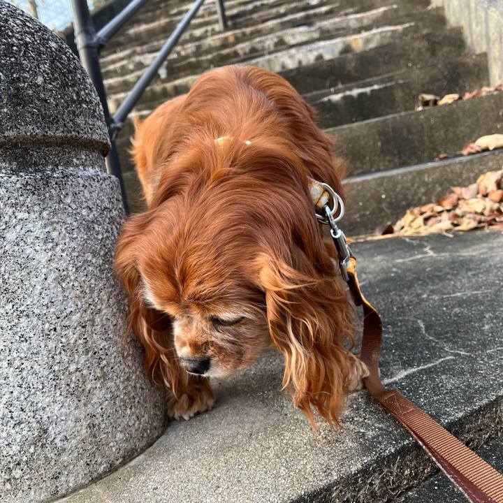 D131191b 2e0f 4b24 a82b 2ca368643b52 1767146352998