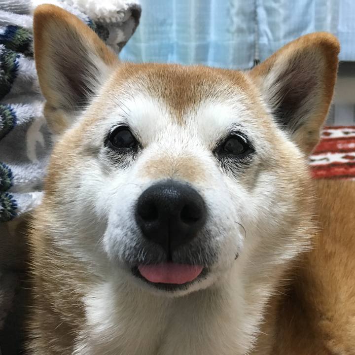 D1315884 ab0a 4bb7 9e2a 0f12b7b84534 1518868775128