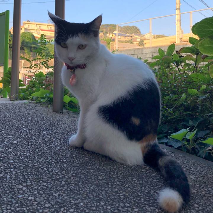 D1315885 a06b 44e3 a083 d070ec956147 1633646261493