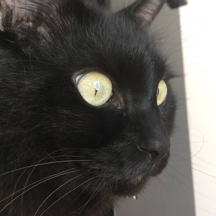 D13174d6 4ec4 48e7 a1b9 dc85cb8f9a15 1569649215249