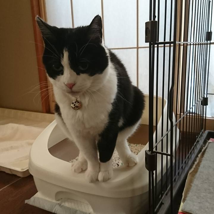 D131910b e6df 44ef a483 90a750abbbb0 1575018162342