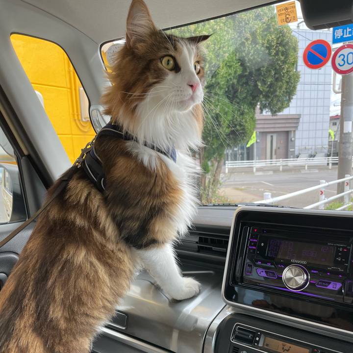 D131adff e591 422f 9b7c a73f2c421bcb 1666505676088