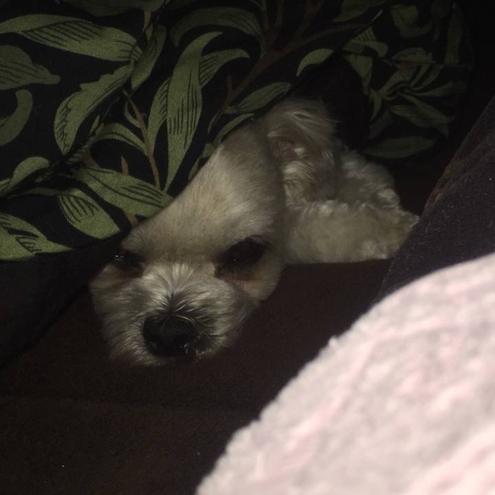 D131c170 9712 4f16 a20a 665012f5eecf 1520337032398