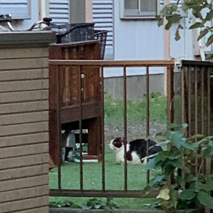 D131f41b 9b94 45a7 81fc 796a03dd8430 1635417913729