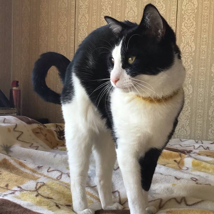 D1321ca7 27eb 4854 a176 2cf0b7efdd49 1649147199934