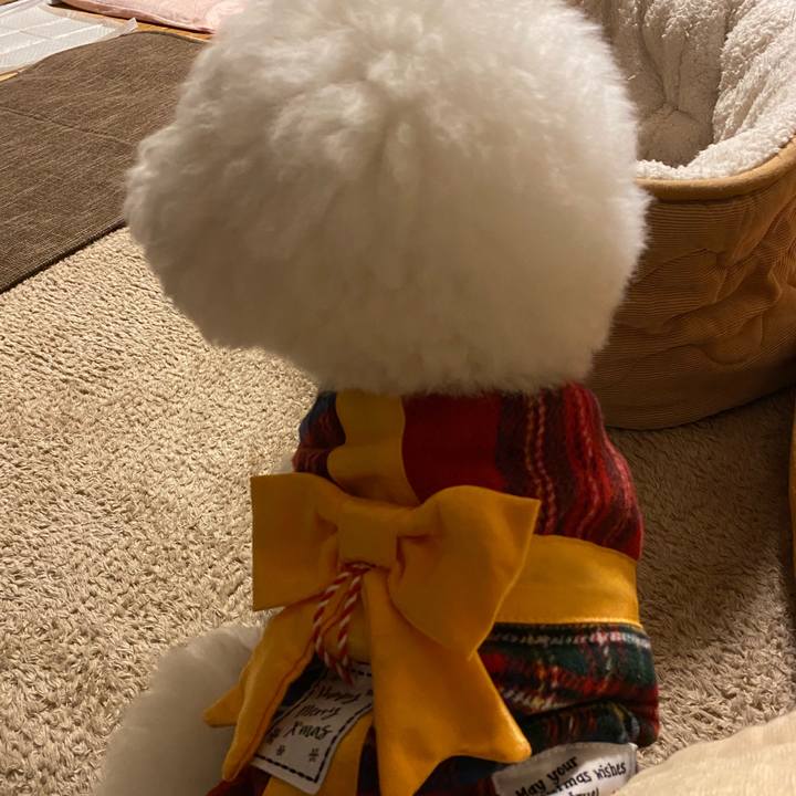 D1324f2f 65ab 47b2 b886 797d08b336ca 1640441381631