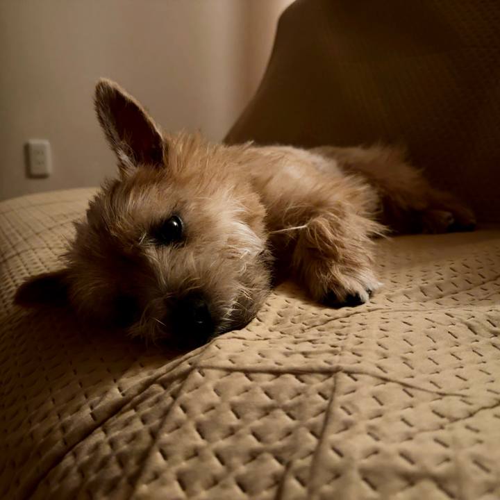 D132677d 8a89 46d9 8547 d299fdc69c56 1716733947603