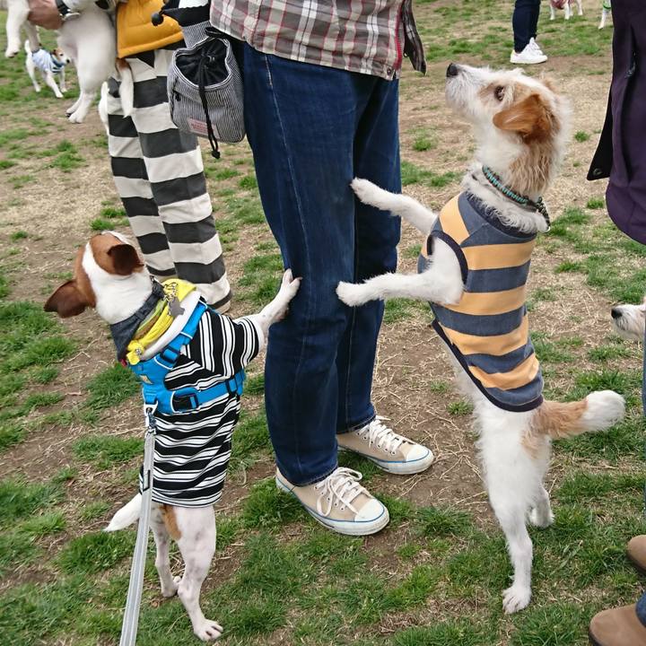 D1327193 a16f 406f 9d35 ea0632e3d49a 1552316152227