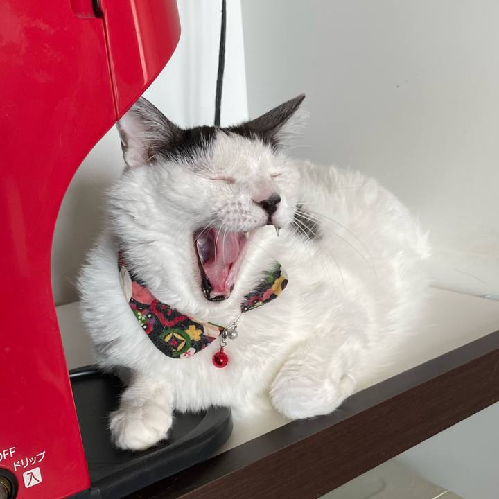 D1327669 b9bb 4a71 b289 199c32622f0c 1657362834292