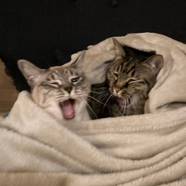 D1328291 722d 43eb 964b 0f136d2a8bad 1674561527098