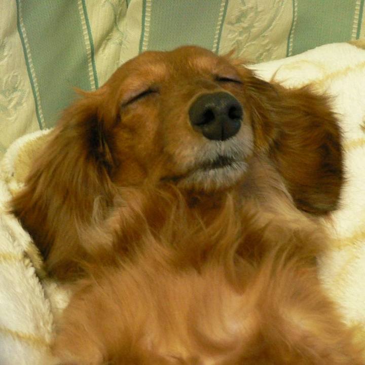 D13282b5 77e6 4049 9689 ea5da3a2d4eb 1530638060392