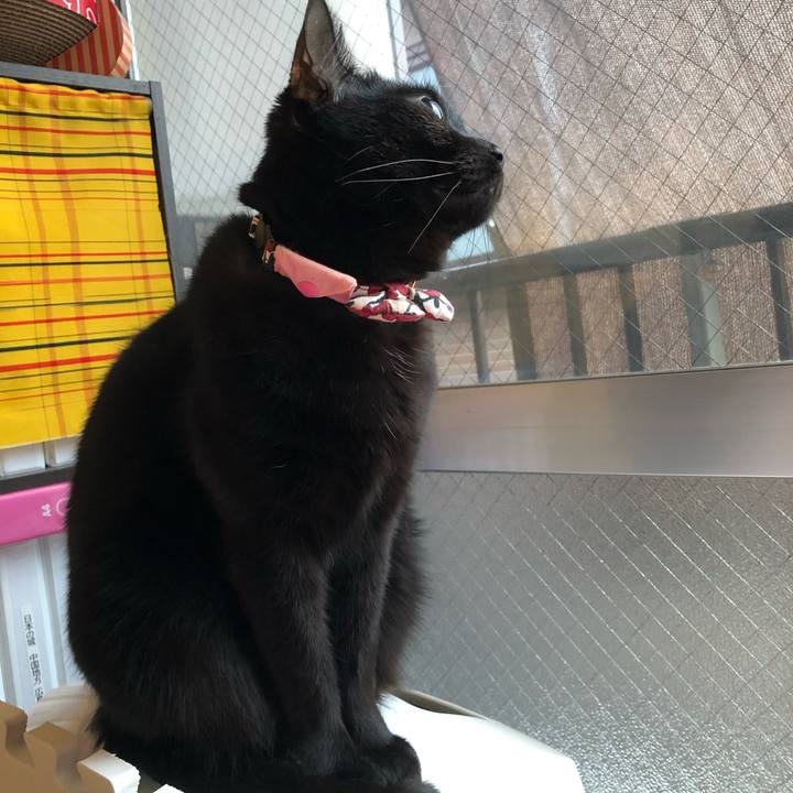 D132e3ef d6f0 405b b8c4 c4c15d3ecd18 1579664468891