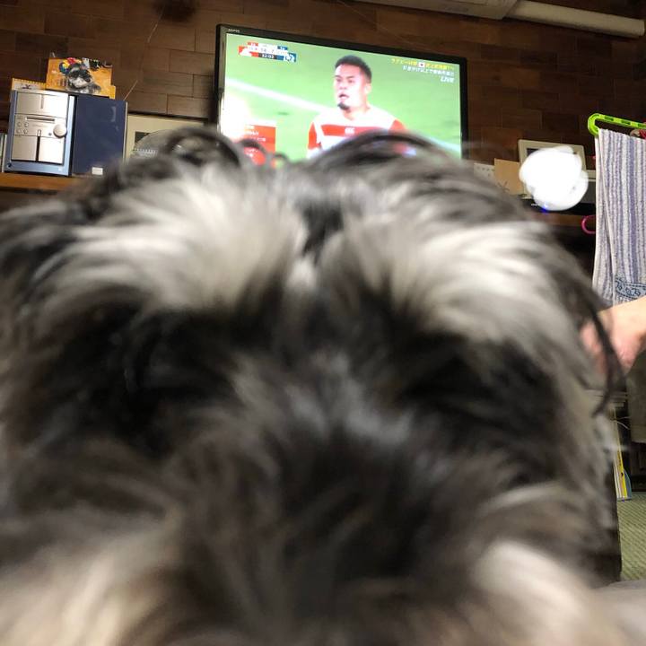 D1332120 1d72 403b be61 4eace06ea69f 1571410650718