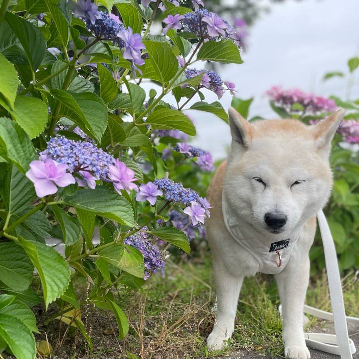 D13333b5 01ae 4fb4 aeca dc1b90e7d26c 1655595613279