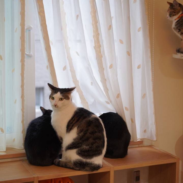 D13333ba 3323 4d23 8d00 ebc9590d78c9 1577701786670