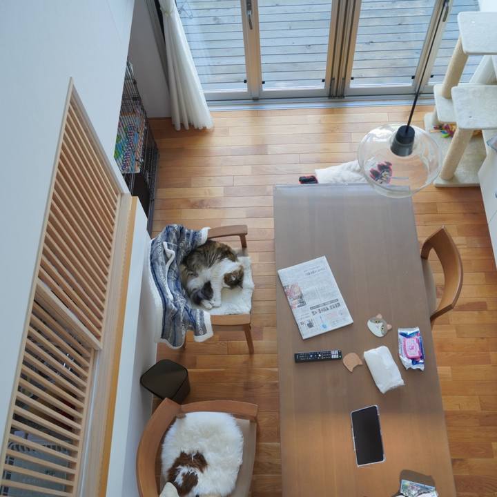 D1337d6b 55ec 41a7 9e88 3852c368d3ce 1682639021556