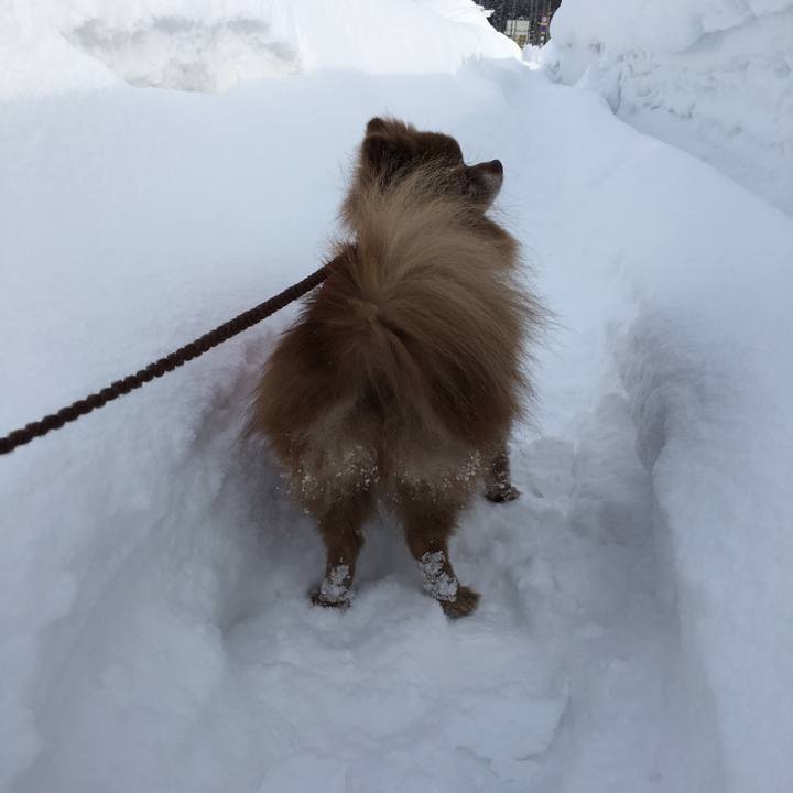 D133d00c dd53 4634 b121 3f3b6e5e217e 1519358554358