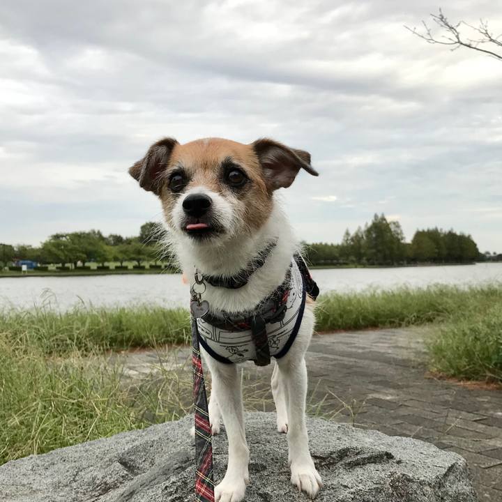 D133efc4 d542 40f6 8f82 40c51423bbed 1569660536304