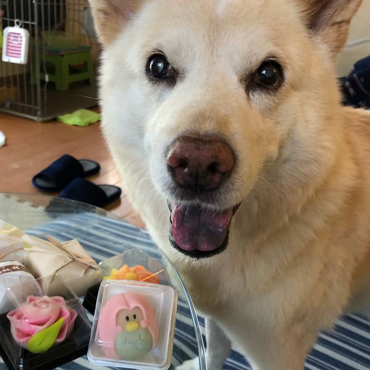 D133f0cb e09b 40ab 9da2 4883de2c15d6 1601976267501