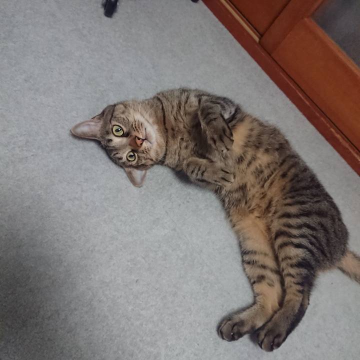 D13482dc cd7b 45a3 800a 8c92b00d8d36 1537449299485