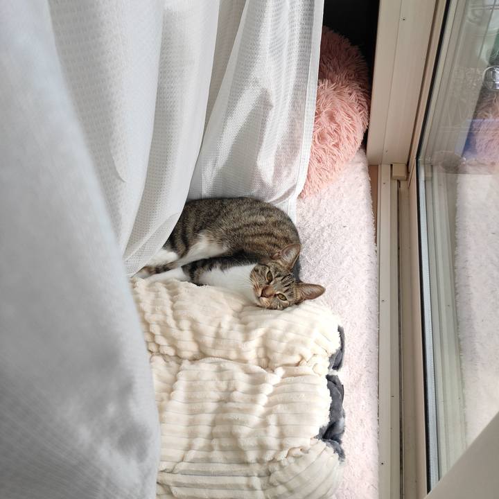 D1349820 a760 4b97 8bb9 ddb7b870f460 1669271421455