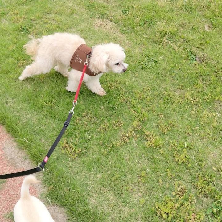 D1349a43 56e0 4606 9e6b 7d9bdca3f89d 1716109993828