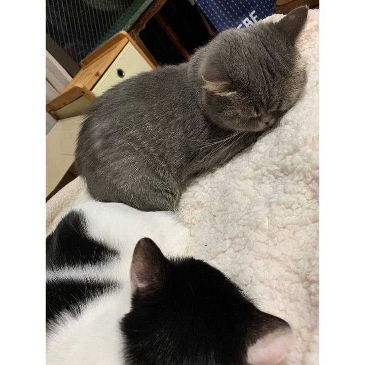 D134ba85 6c39 411f 838e ce2a71997e9d 1548592366482