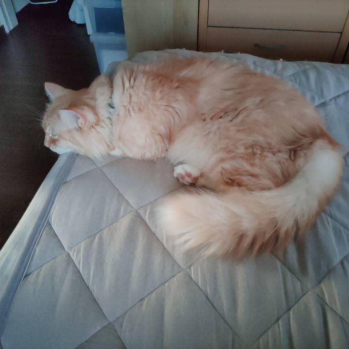 D134c41a 26d8 4c4f 96f1 52f7ace1f9da 1695073644092