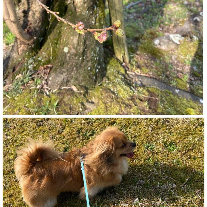 D135338c 2686 4e93 931c 2a6dd93b62c5 1584835683668