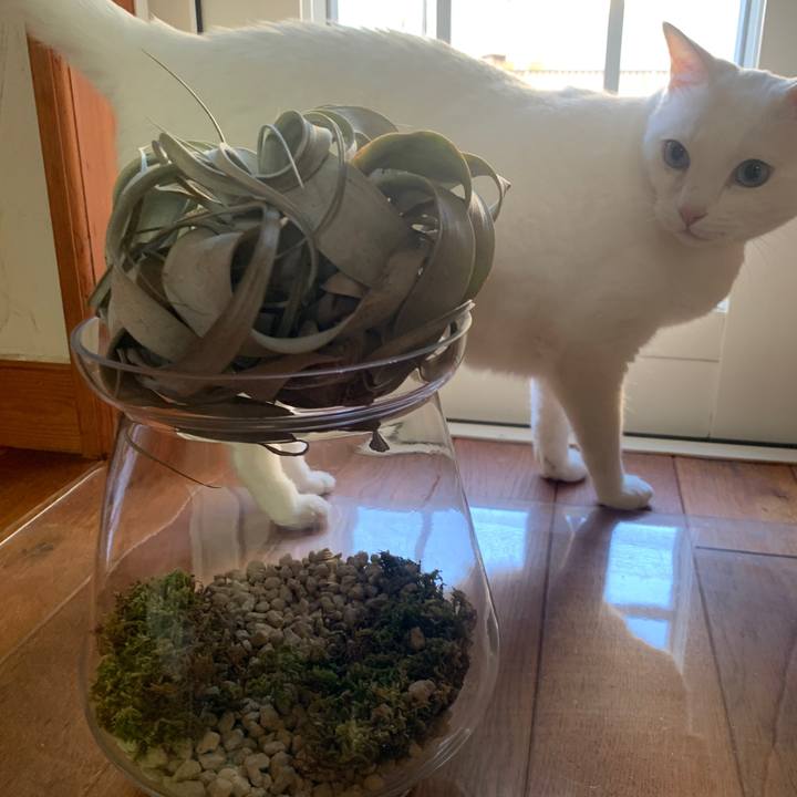 D1354689 b775 4b97 93fc cd41fd7c38e9 1651587494646