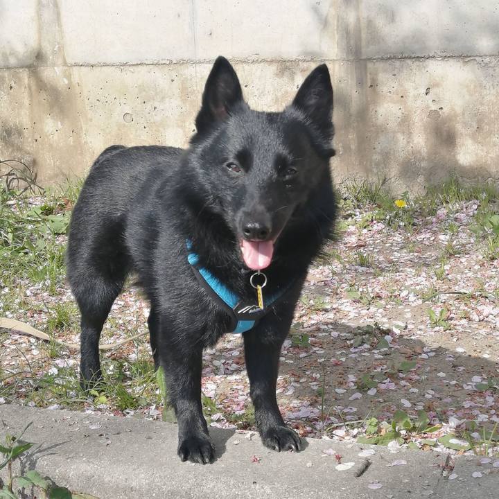 D1357286 5124 4173 83d7 a9a2fae91c4f 1649548553579