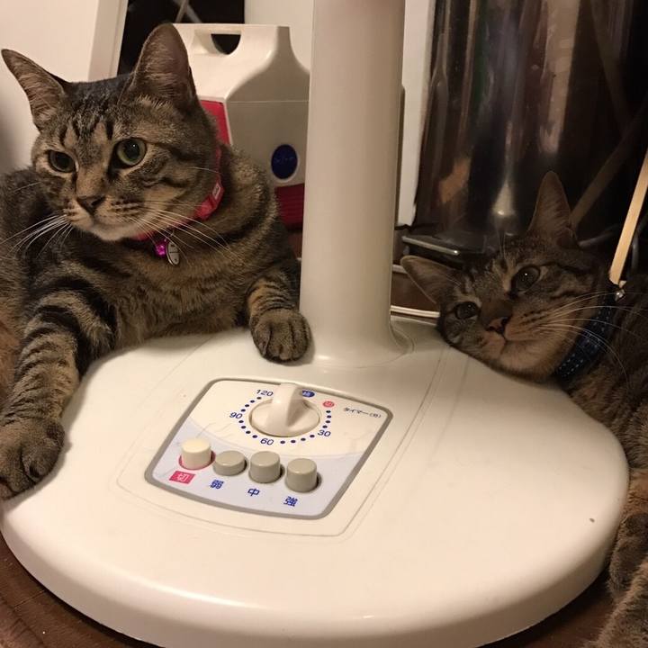 D135e79d 3f84 493c ac67 0572b8517b6a 1538137901790