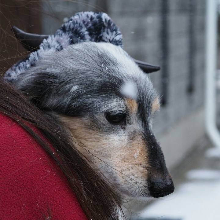 D135fc0f e789 46e3 99ce 934f0ba4af29 1517190692055