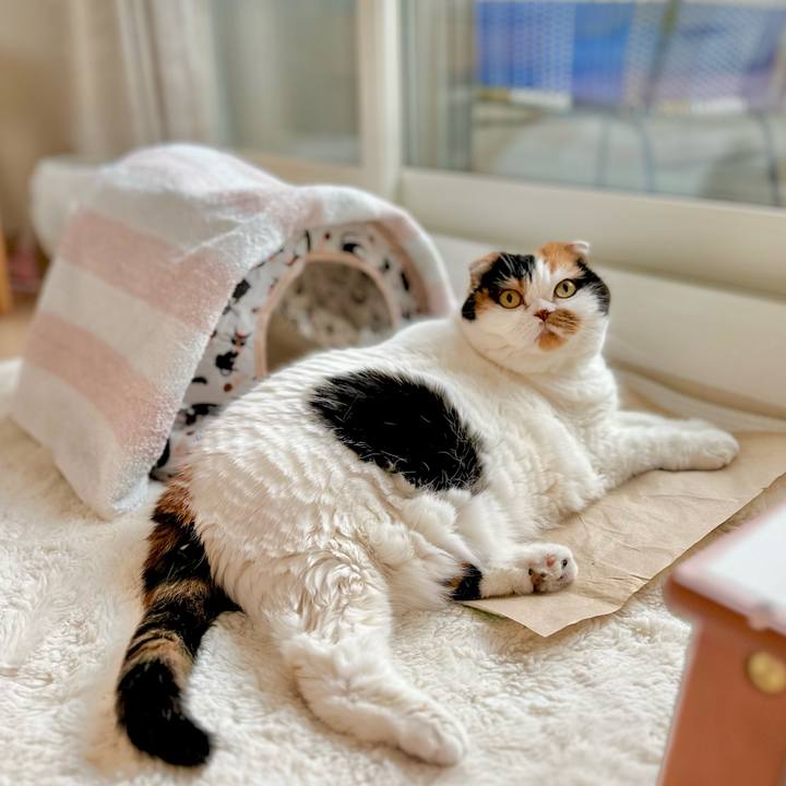 D1361895 b489 463f ab26 1ca26e90a3a2 1699571082288