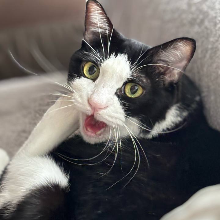 D1362482 1b2f 45e8 aadd 986db07f95fa 1761130431093