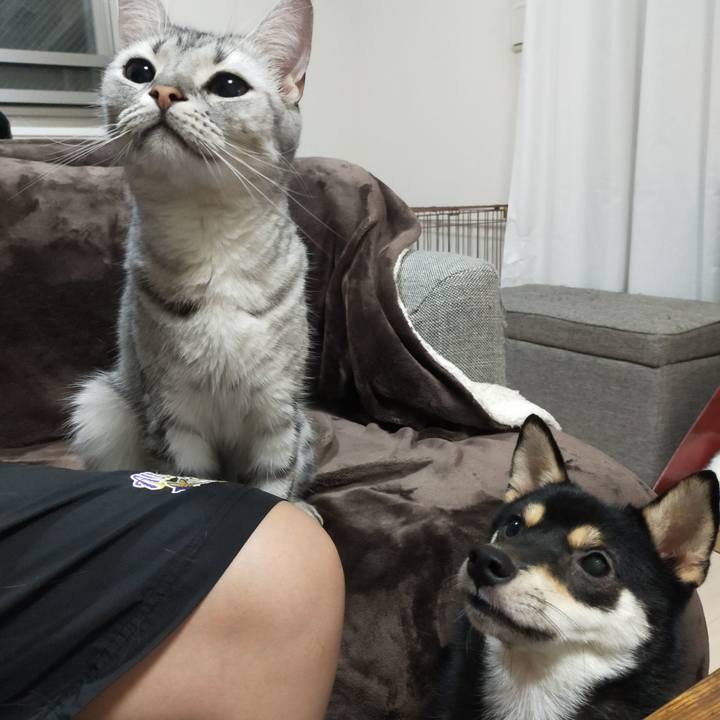 D13638a4 9758 48b2 866a 762d00cb827c 1601288869762