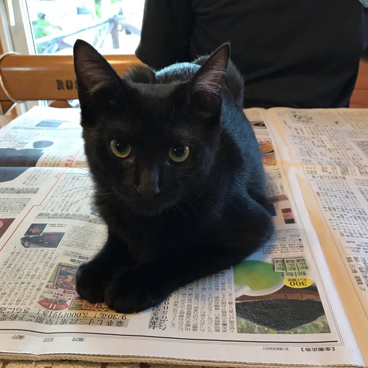 D1364461 9264 4825 82fb 176f74fbecab 1568841218430