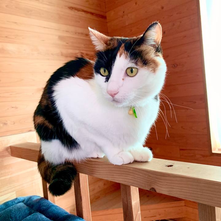 D136517d f070 44be 8523 a299d0ec6554 1577501709529