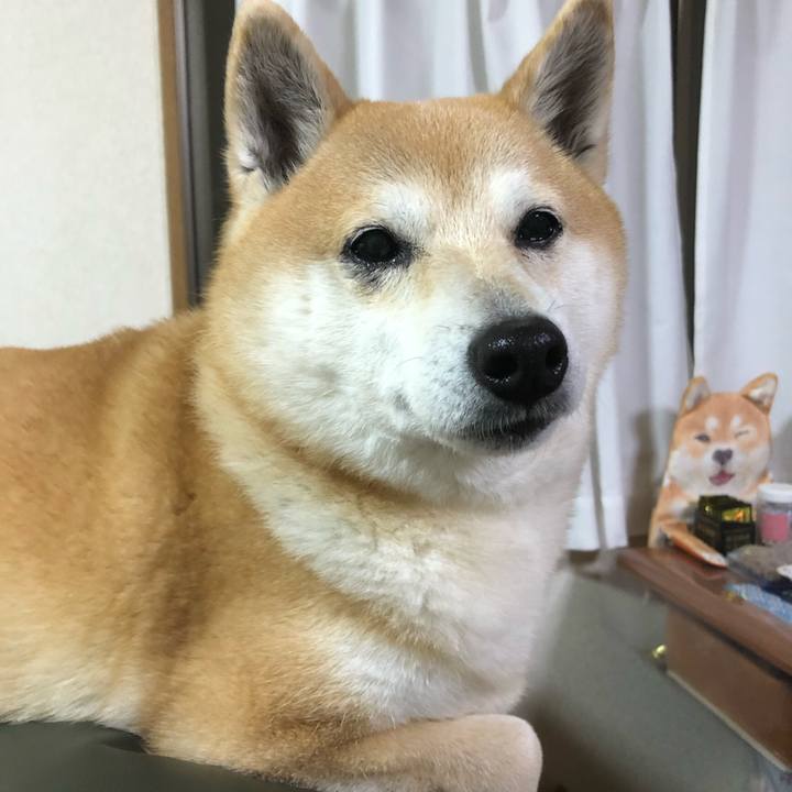 D13676fa a4ef 43d2 9249 057137142e3e 1587567400814